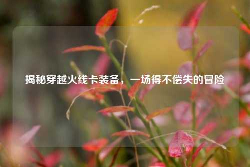 揭秘穿越火线卡装备,一场得不偿失的冒险