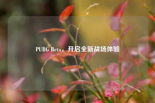 PUBG Beta，开启全新战场体验
