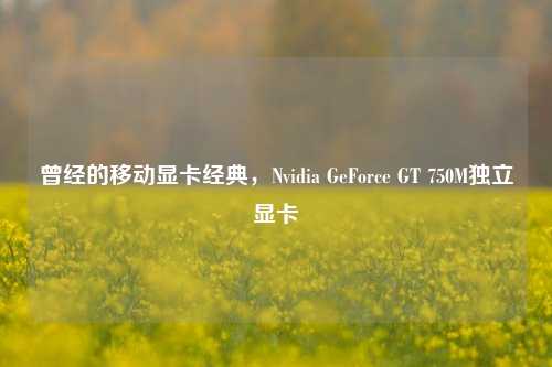 曾经的移动显卡经典，Nvidia GeForce GT 750M独立显卡