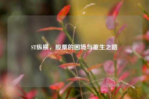 ST纵横,股票的困境与重生之路