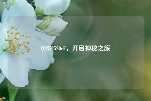 QIN52520cF，开启神秘之旅