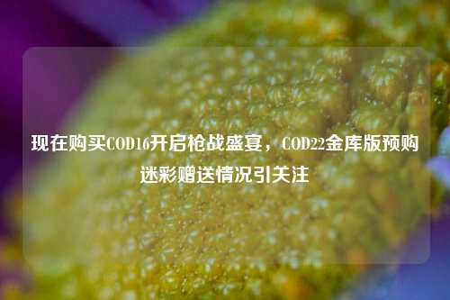 现在购买COD16开启枪战盛宴，COD22金库版预购迷彩赠送情况引关注