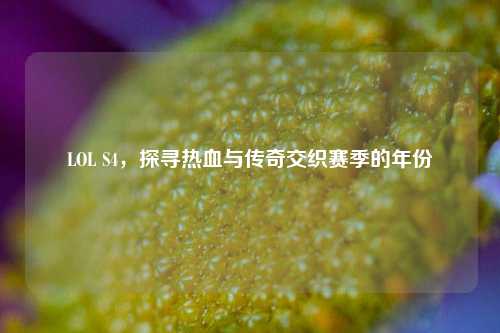 LOL S4,探寻热血与传奇交织赛季的年份