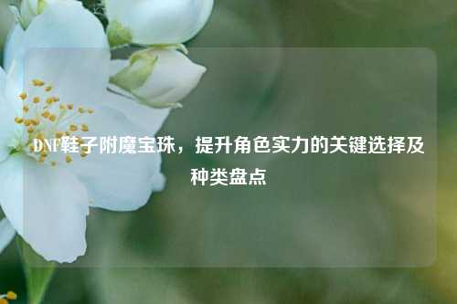 DNF鞋子附魔宝珠，提升角色实力的关键选择及种类盘点