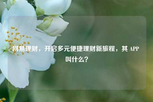 网易理财，开启多元便捷理财新旅程，其 APP 叫什么？