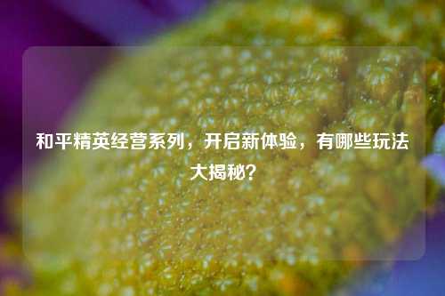 和平精英经营系列，开启新体验，有哪些玩法大揭秘？
